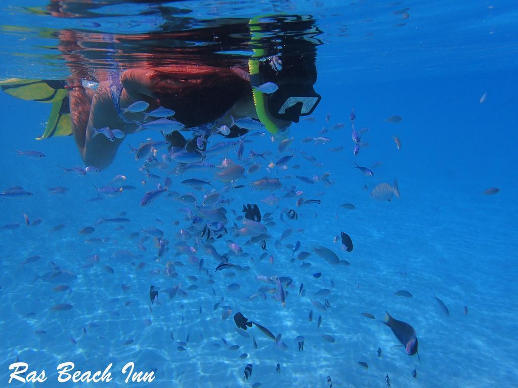 Ras Beach Inn Rasdhoo Extérieur photo