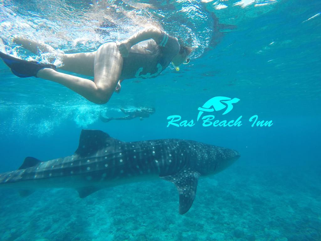 Ras Beach Inn Rasdhoo Extérieur photo